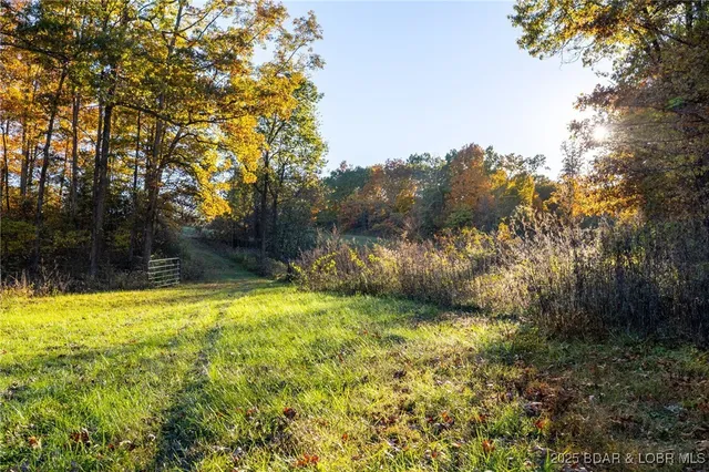 $128,950 | 3-15 Ac Pardon Road, Marionville, MO 65705