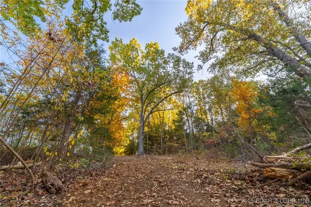 $128,950 | 3-15 Ac Pardon Road, Marionville, MO 65705