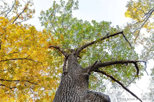 $128,950 | 3-15 Ac Pardon Road, Marionville, MO 65705