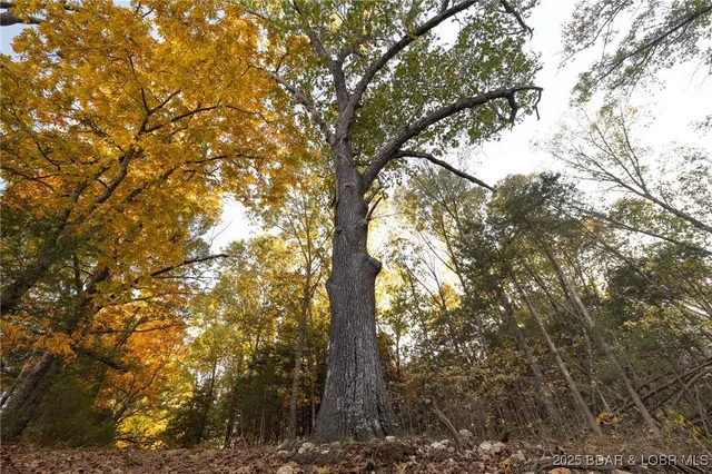 $128,950 | 3-15 Ac Pardon Road, Marionville, MO 65705