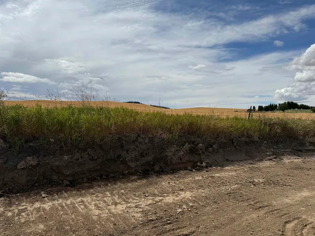 $475,000 | 620 East Davisadero Street, Reardan, WA 99029