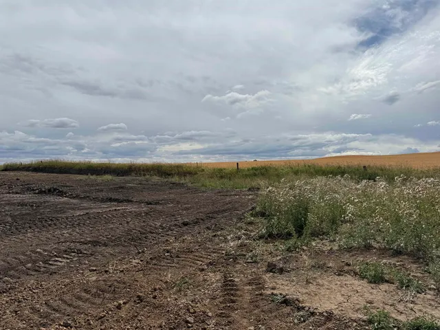 $475,000 | 620 East Davisadero Street, Reardan, WA 99029