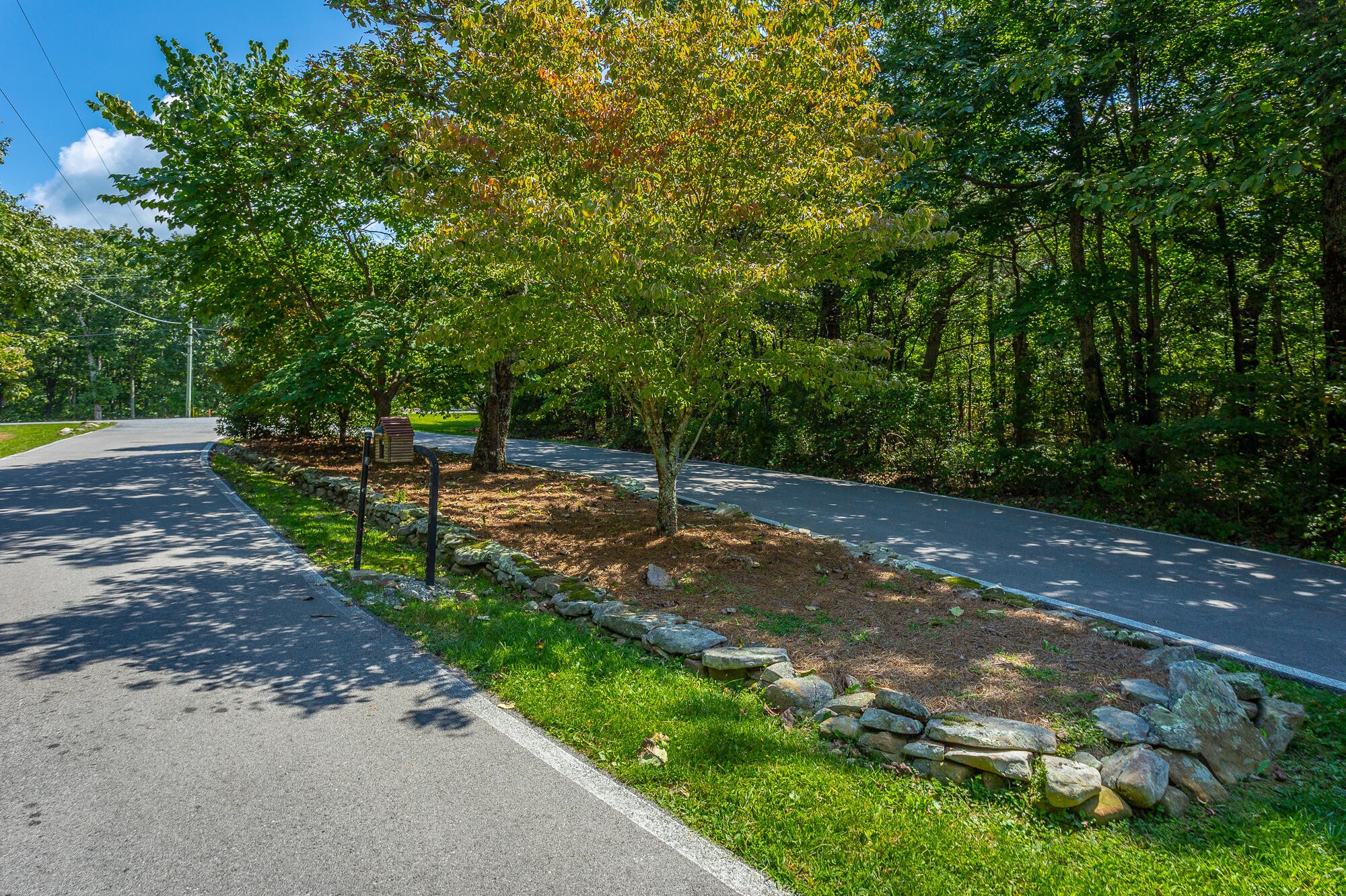 6 Highlands Forest Road Cloudland, GA 30731 - Photo 20 of 100 Gallery Image 20