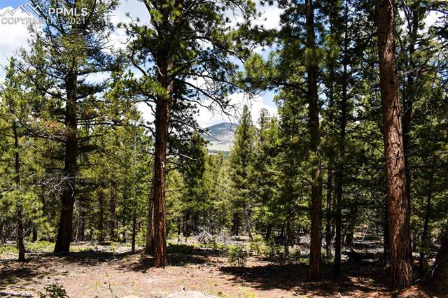 264 Jack Younce Road Guffey, CO 80820 - Photo 32 of 36 Gallery Image 32