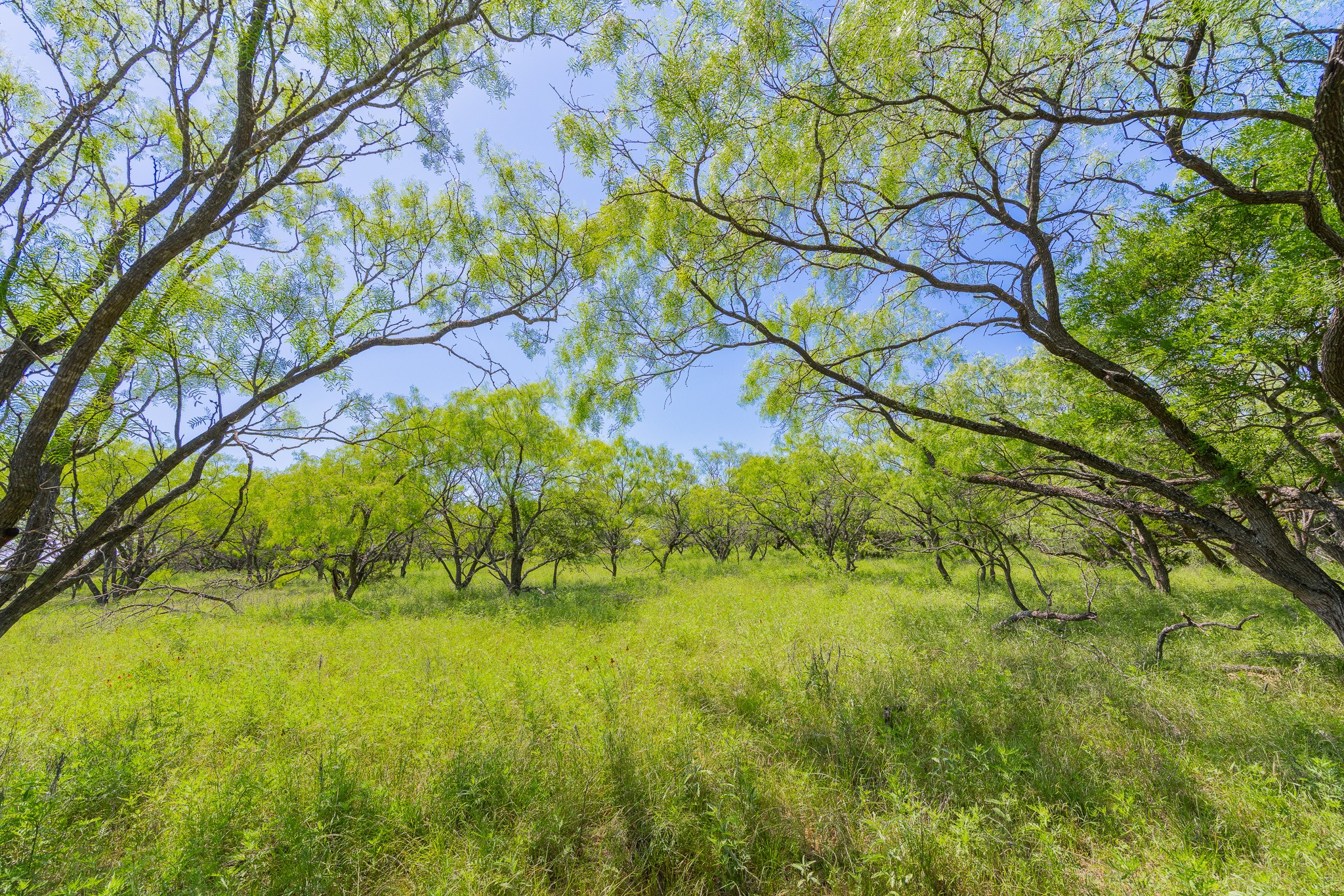 180 Rd Purmela Tx 76566 Road Purmela, TX 76566 - Photo 4 of 27 Gallery Image 4