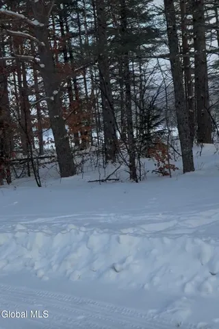 $400,000 | 59 B Alice Bissell Lane, Long Lake, NY 12847