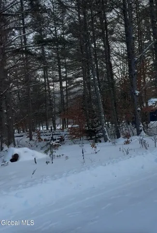 $400,000 | 59 B Alice Bissell Lane, Long Lake, NY 12847