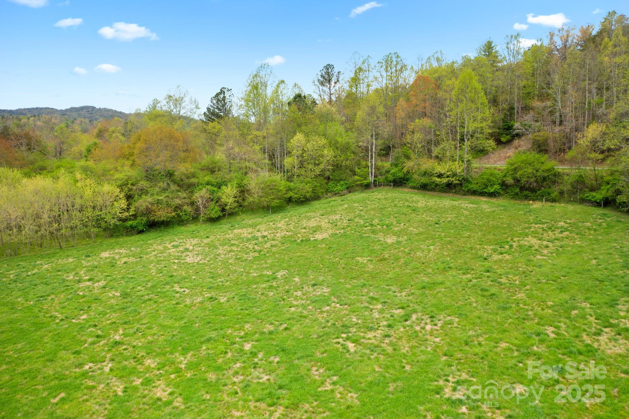 999 Casper Hawkins Road Ferguson, NC 28624 - Photo 20 of 23 a view of a yard with an trees