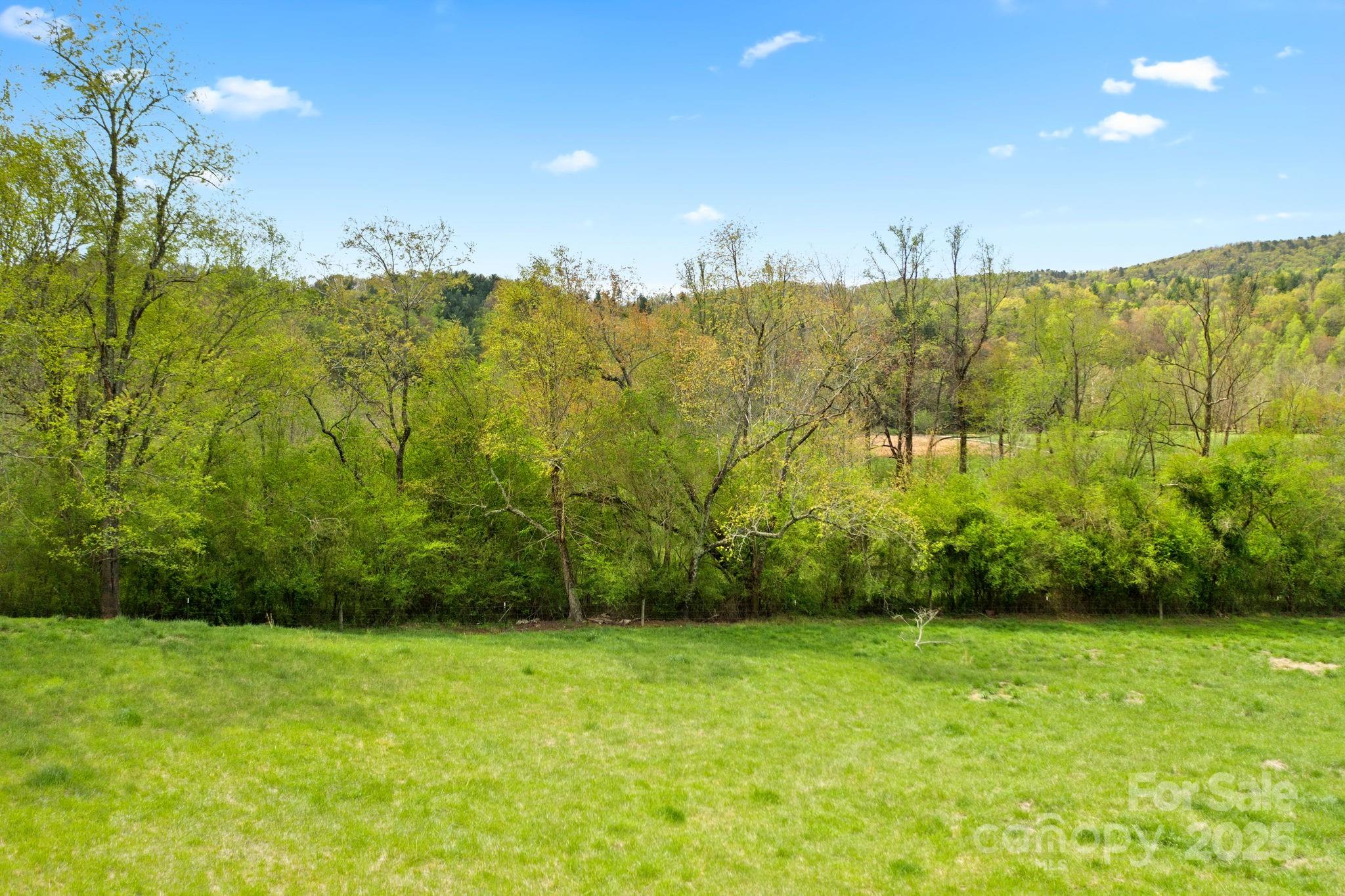999 Casper Hawkins Road Ferguson, NC 28624 - Photo 21 of 23 a view of a yard
