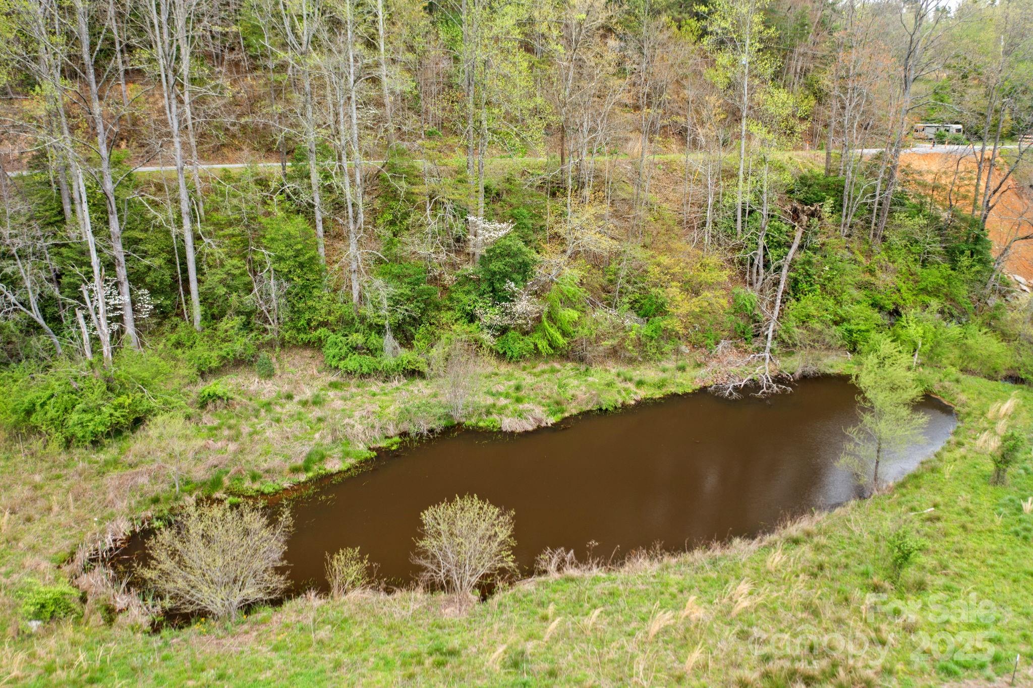 999 Casper Hawkins Road Ferguson, NC 28624 - Photo 4 of 23 a view of lake background with wooden floor