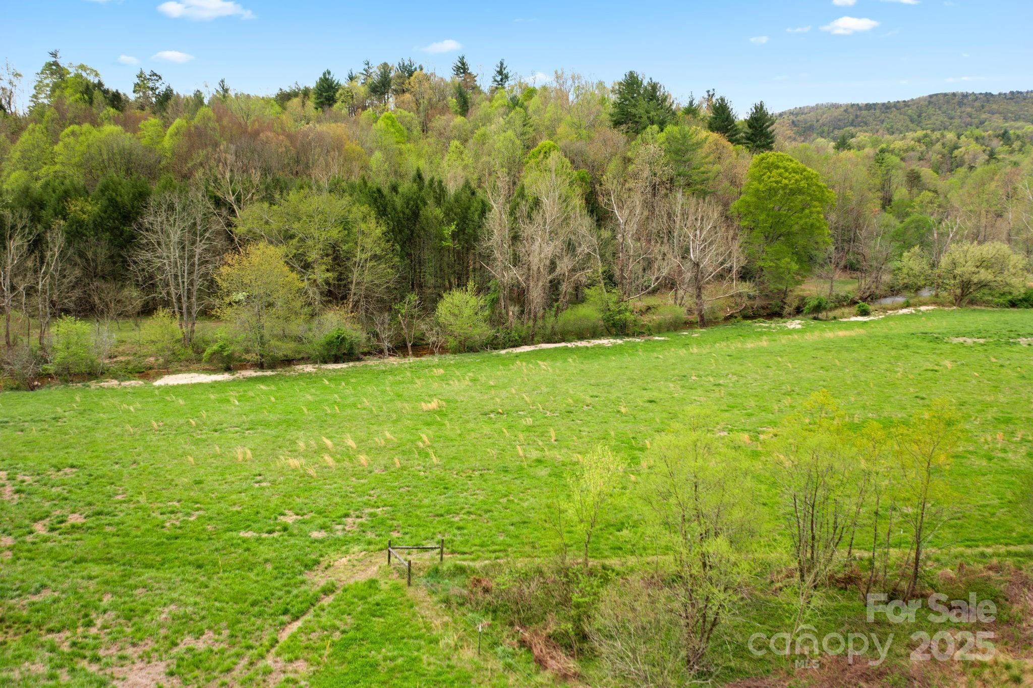 999 Casper Hawkins Road Ferguson, NC 28624 - Photo 5 of 23 a view of a yard with an trees