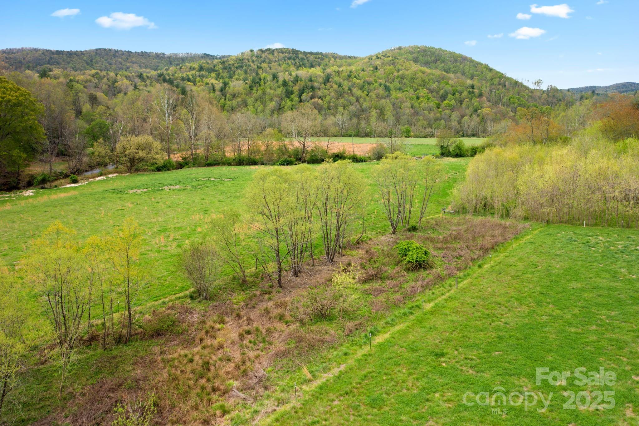 999 Casper Hawkins Road Ferguson, NC 28624 - Photo 8 of 23 a view of lake with mountain