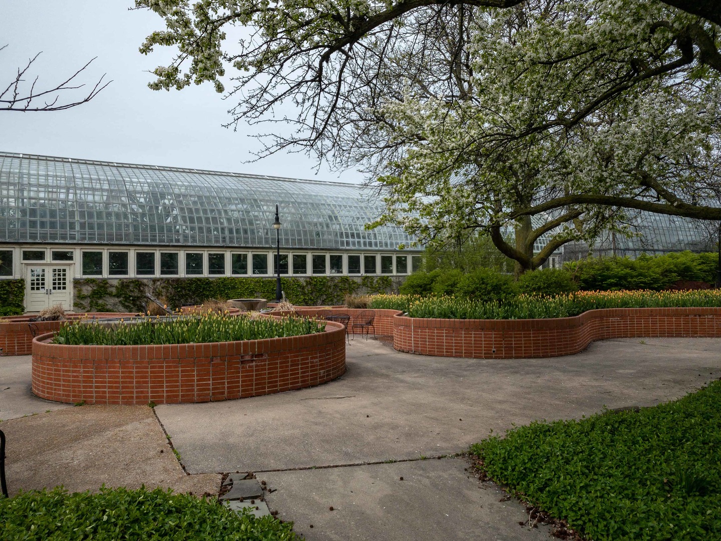 102 North Hamlin Avenue, Unit D1 Chicago, IL 60624 - Photo 2 of 7