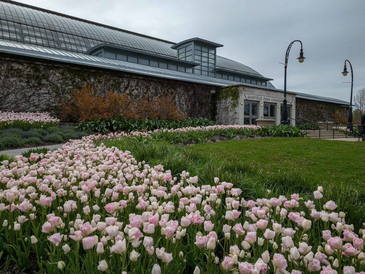 102 North Hamlin Avenue, Unit D1 Chicago, IL 60624 - Photo 7 of 7