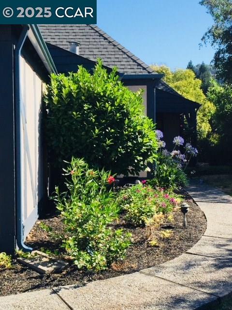 1000 Sanders Drive Moraga, CA 94556 - Photo 30 of 32 a view of a backyard