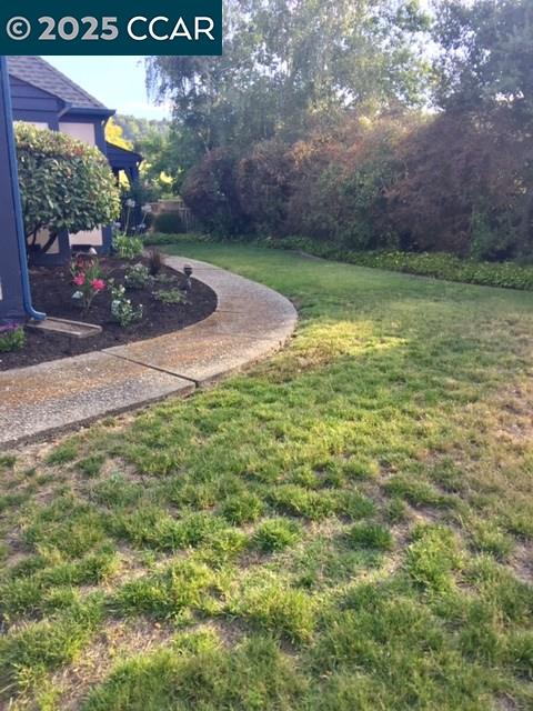 1000 Sanders Drive Moraga, CA 94556 - Photo 4 of 32 a view of a outdoor space