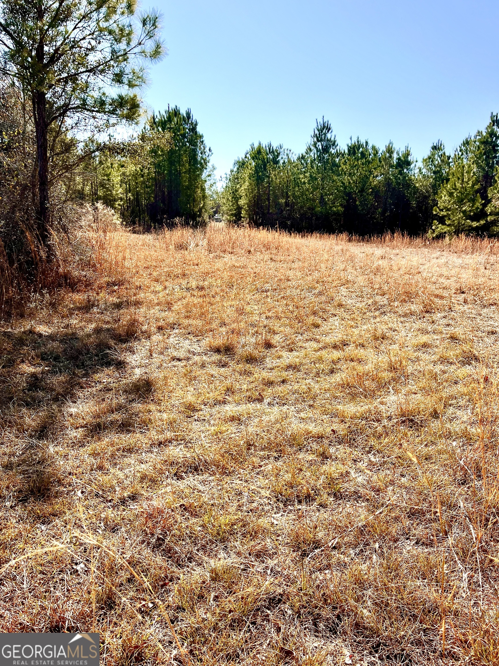 0 Lynntown Road Collins, GA 30421 - Photo 2 of 5