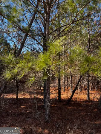 $299,900 | 0 Lynntown Road, Collins, GA 30421