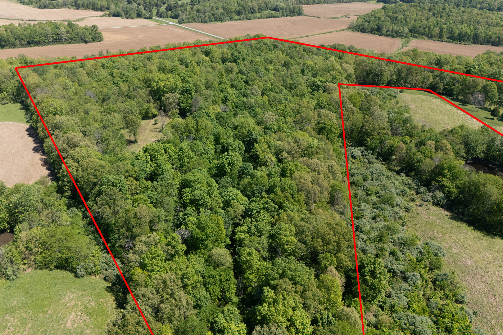 1580 Reevesville Road Grantsburg, IL 62943 - Photo 4 of 50