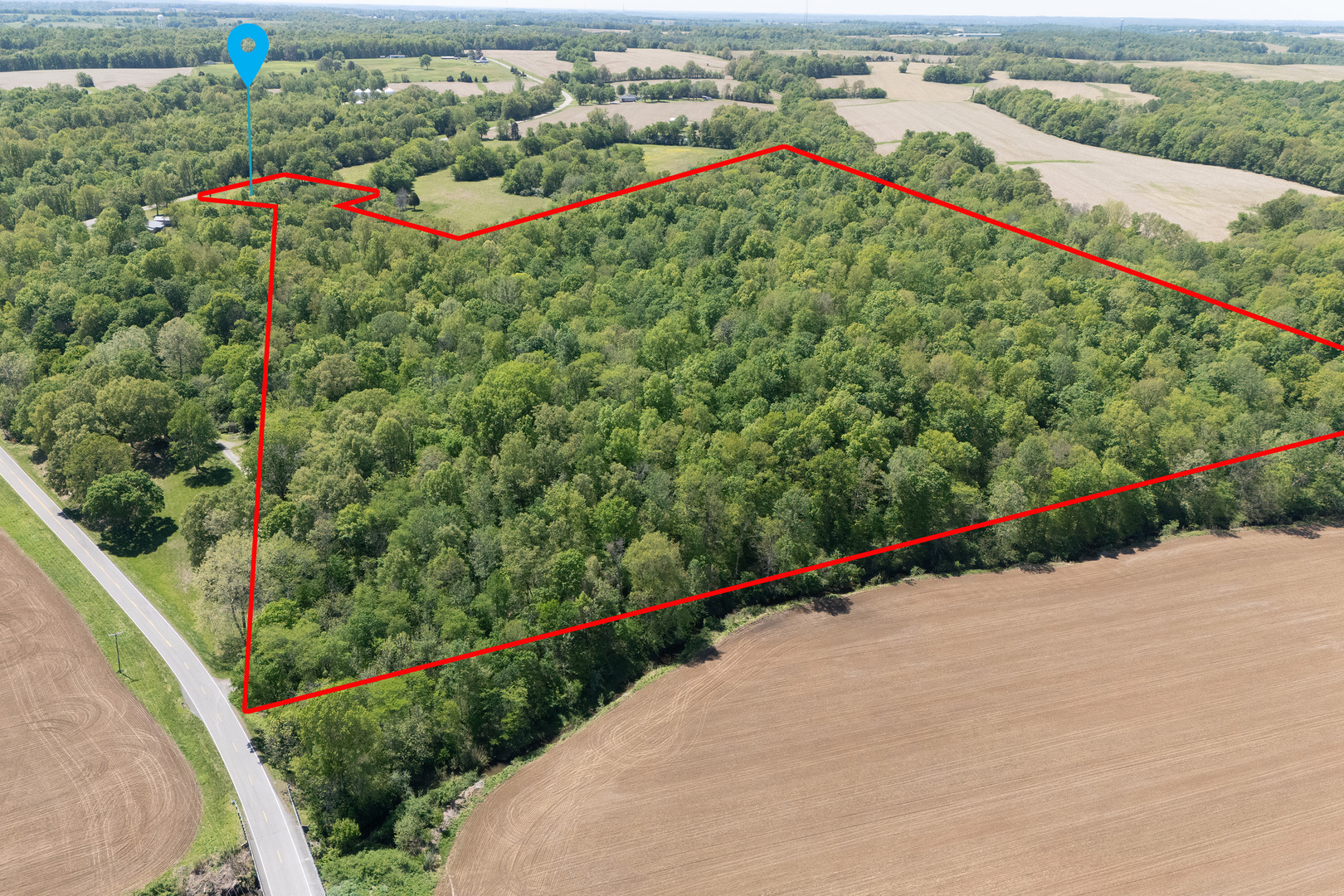 1580 Reevesville Road Grantsburg, IL 62943 - Photo 6 of 50