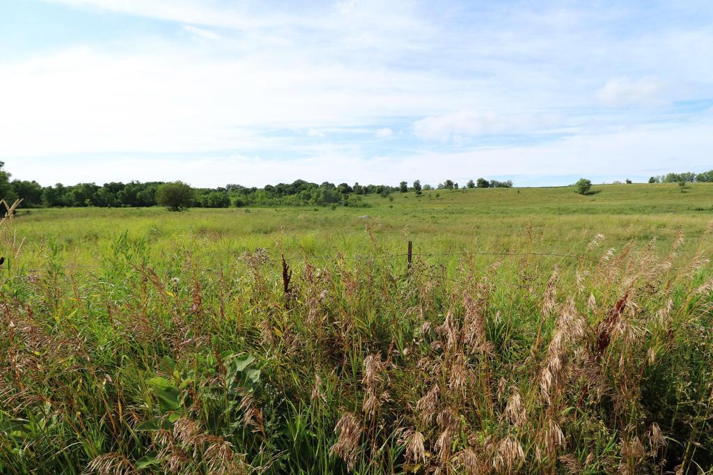 5-xx West Ridge Road Courtland, MN 56021 - Photo 11 of 18