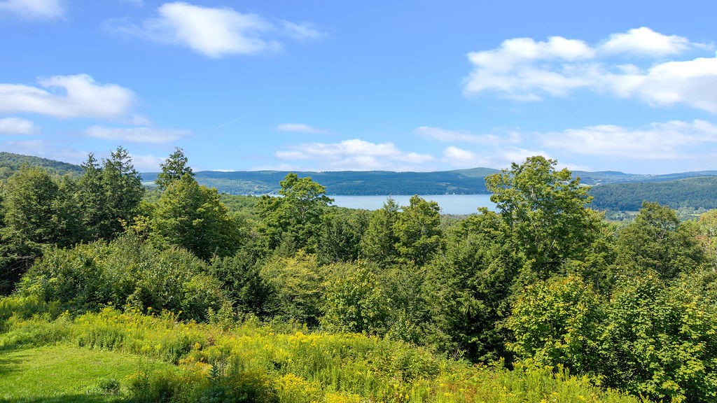 386 Springfield Hill Road Middlefield, NY 13326 - Photo 3 of 44 Gallery Image 3