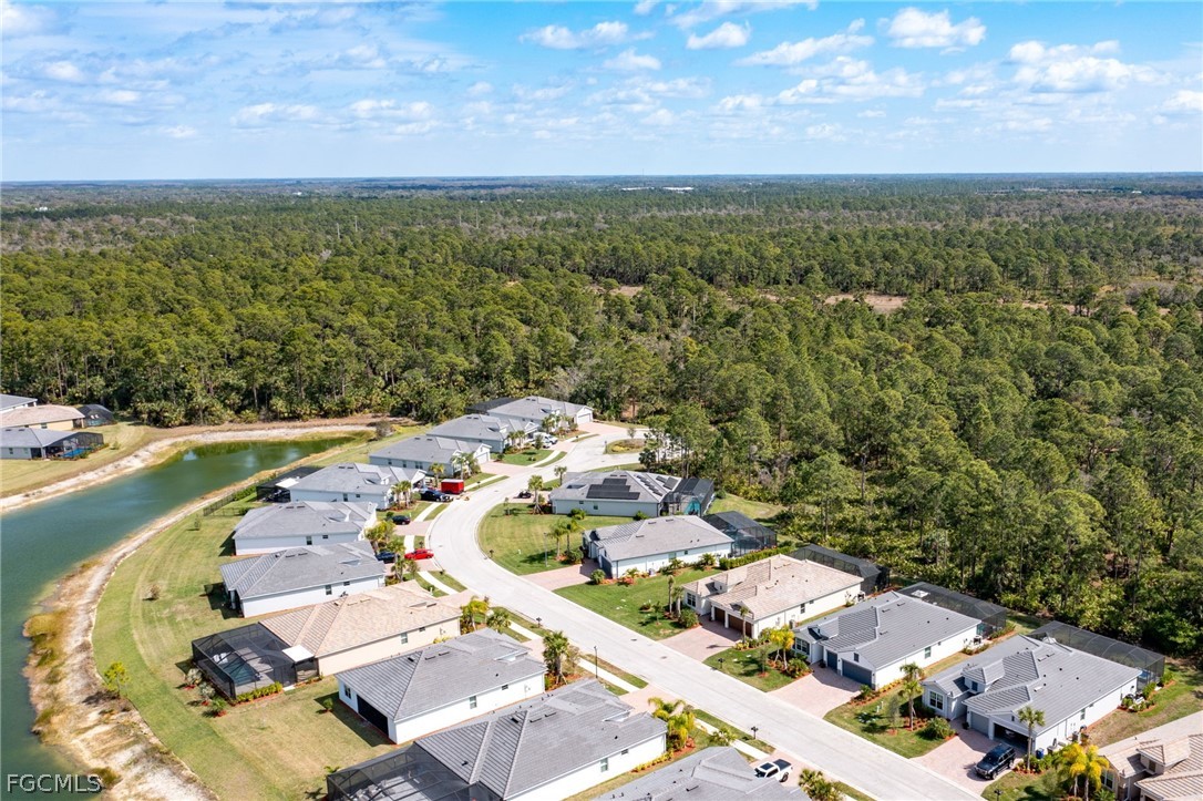 17388 Walnut Run Drive Alva, FL 33920 - Photo 3 of 24