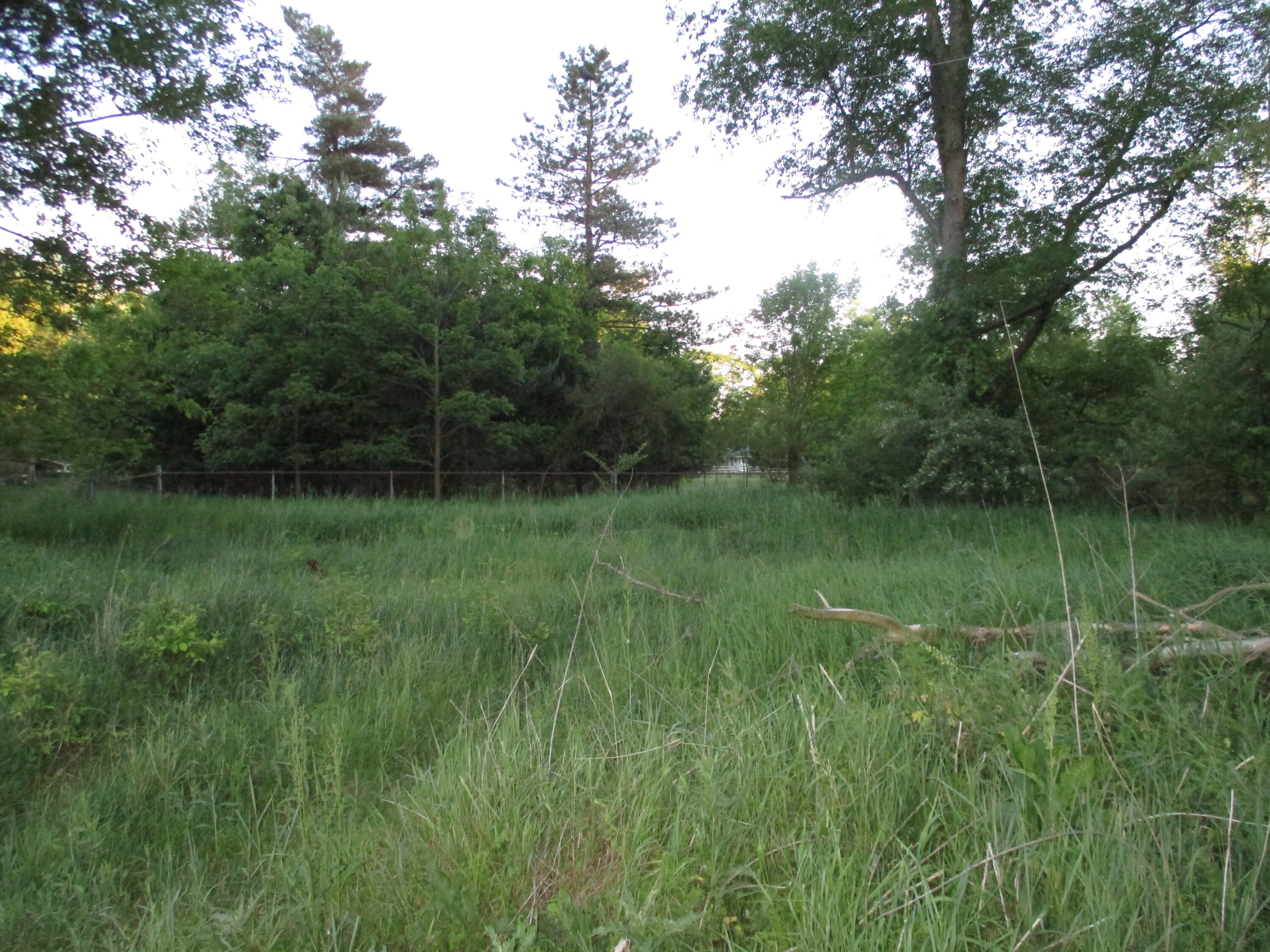 215 Brooklyn Road Jackson, MI 49201 - Photo 16 of 21 IMG_1970