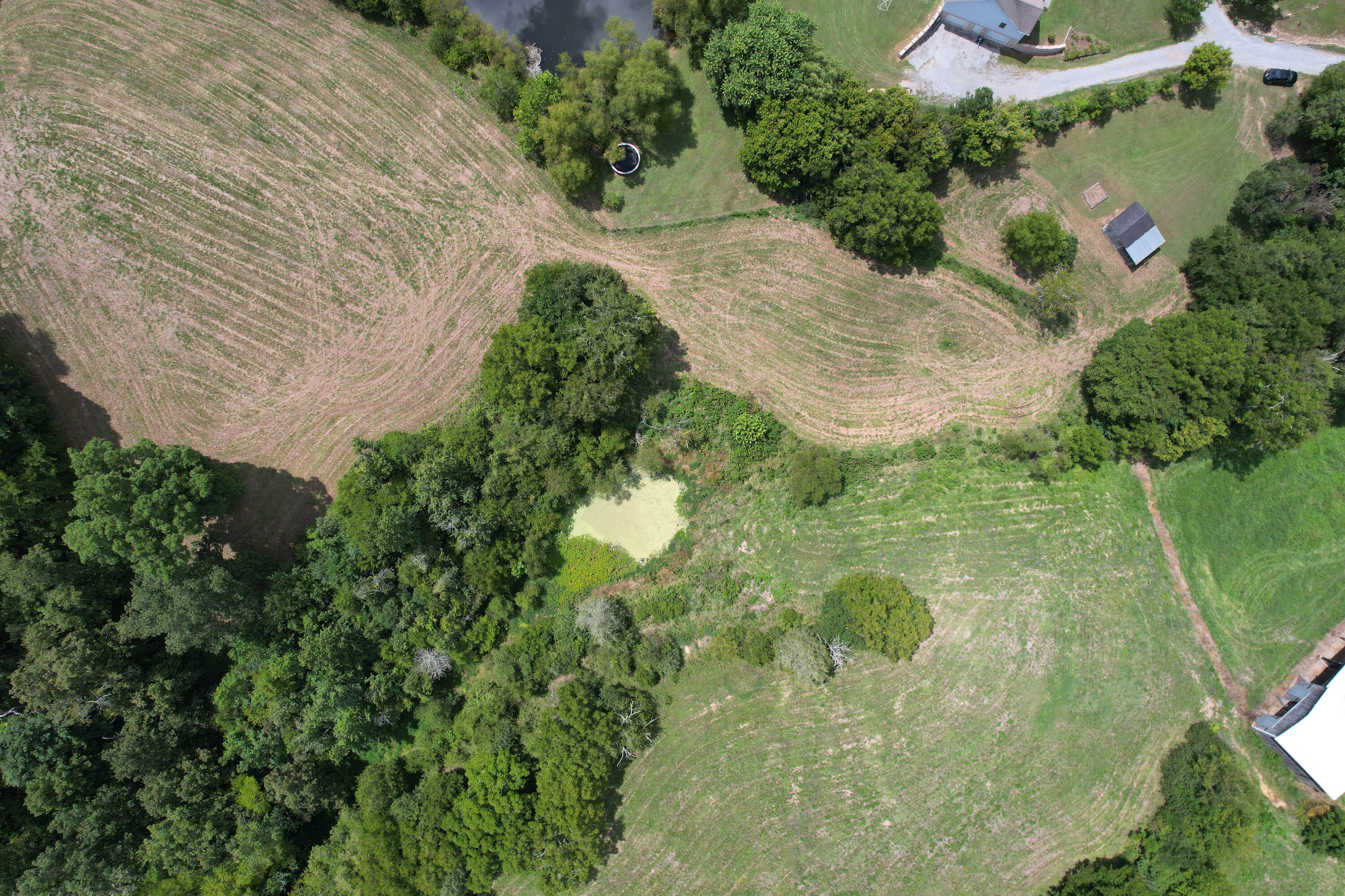 3560 Ottway Road Greeneville, TN 37745 - Photo 56 of 70 Ottway Drone-9
