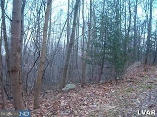 0 Walker Road Macungie, PA 18062 - Photo 1 of 1 Gallery Image 1