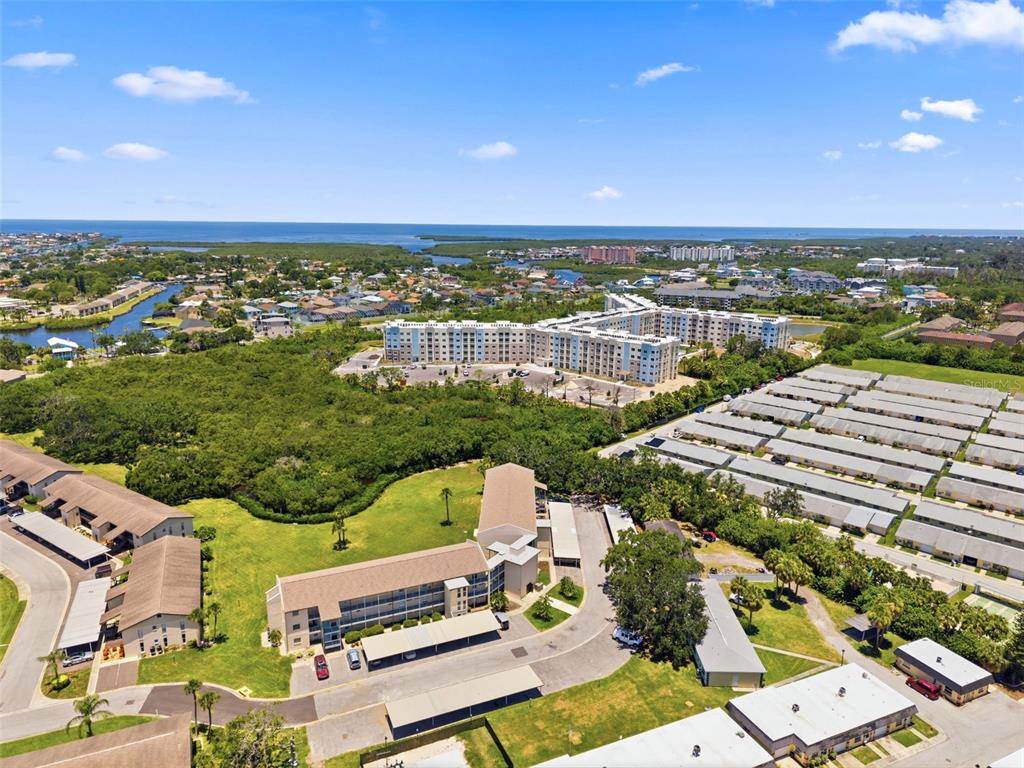 5245 Amulet Drive, Unit 306 New Port Richey, FL 34652 - Photo 44 of 74