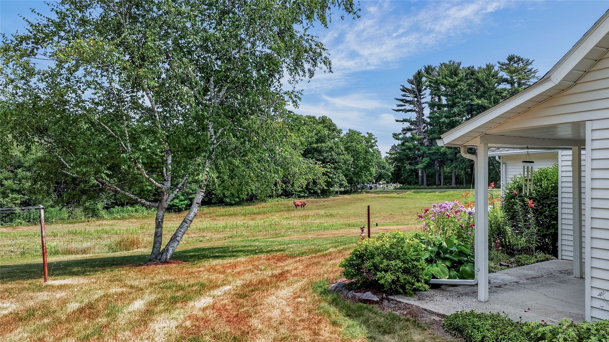 N8481 Kleba Road Hixton, WI 54635 - Photo 26 of 46 Gallery Image 26