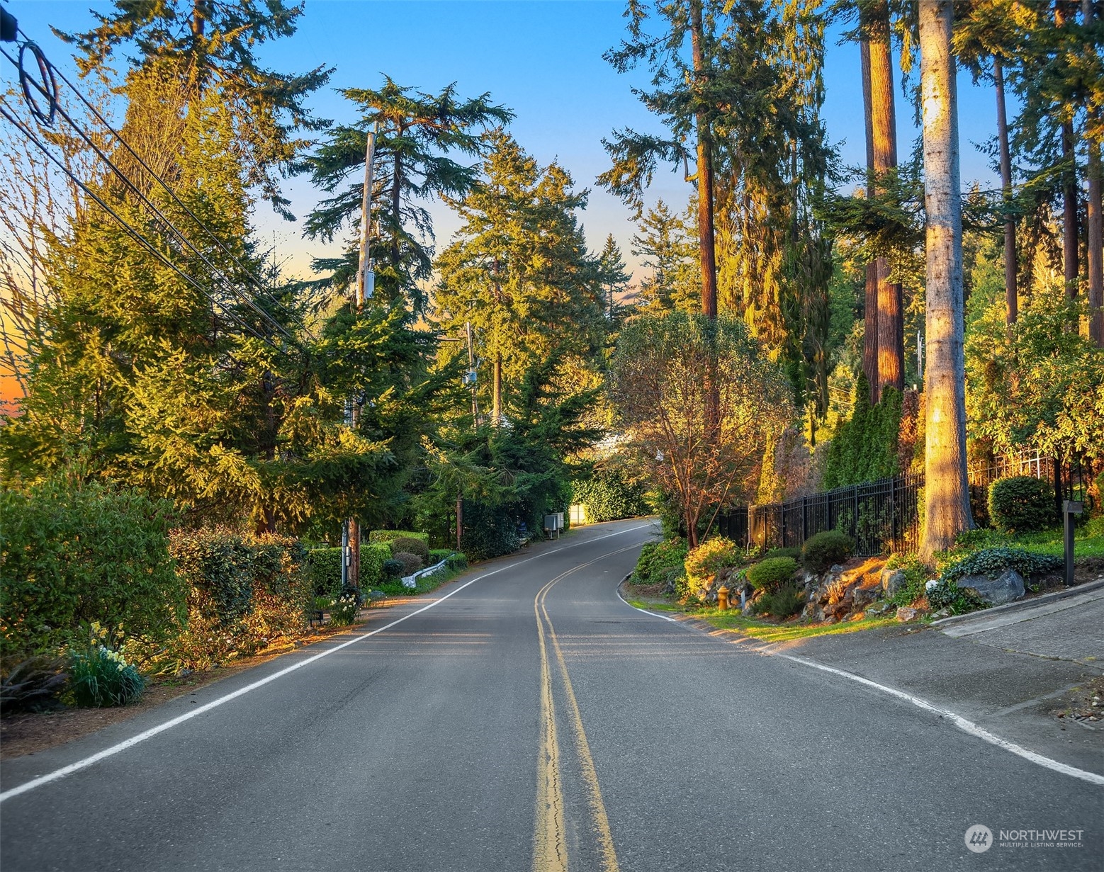 2423 Southwest 172nd Street Burien, WA 98166 - Photo 25 of 26 a view of a street with a tree