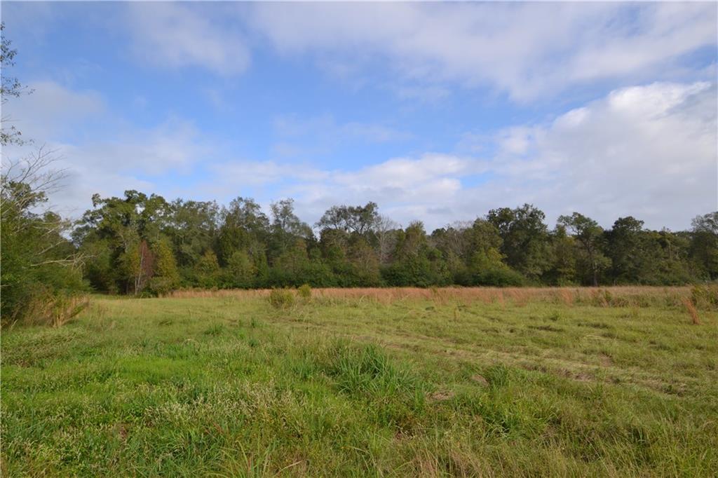 56234 Loranger Road Loranger, LA 70446 - Photo 3 of 6