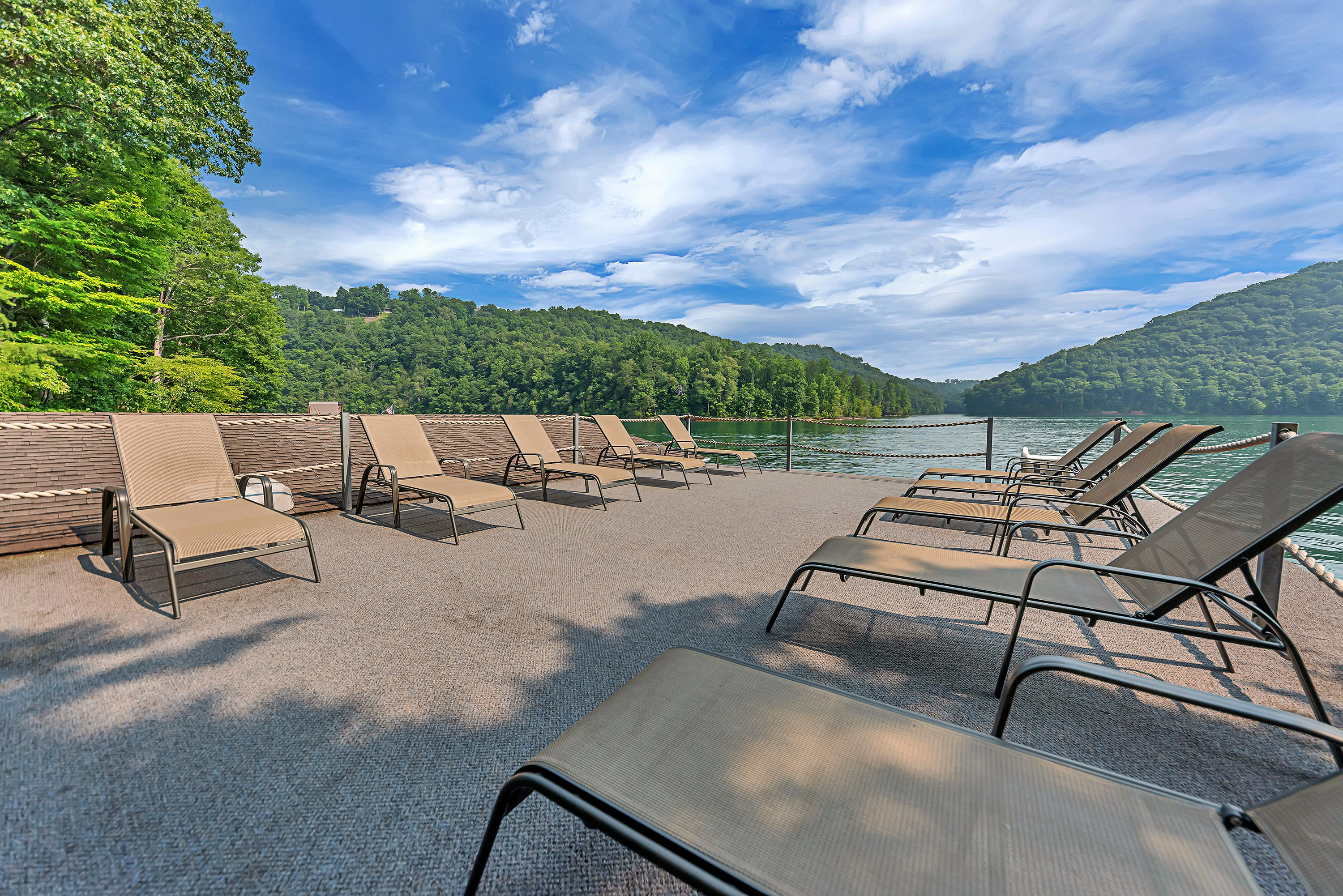 918 Fox Ridge Lane Caryville, TN 37714 - Photo 36 of 40 AgentOptix -56