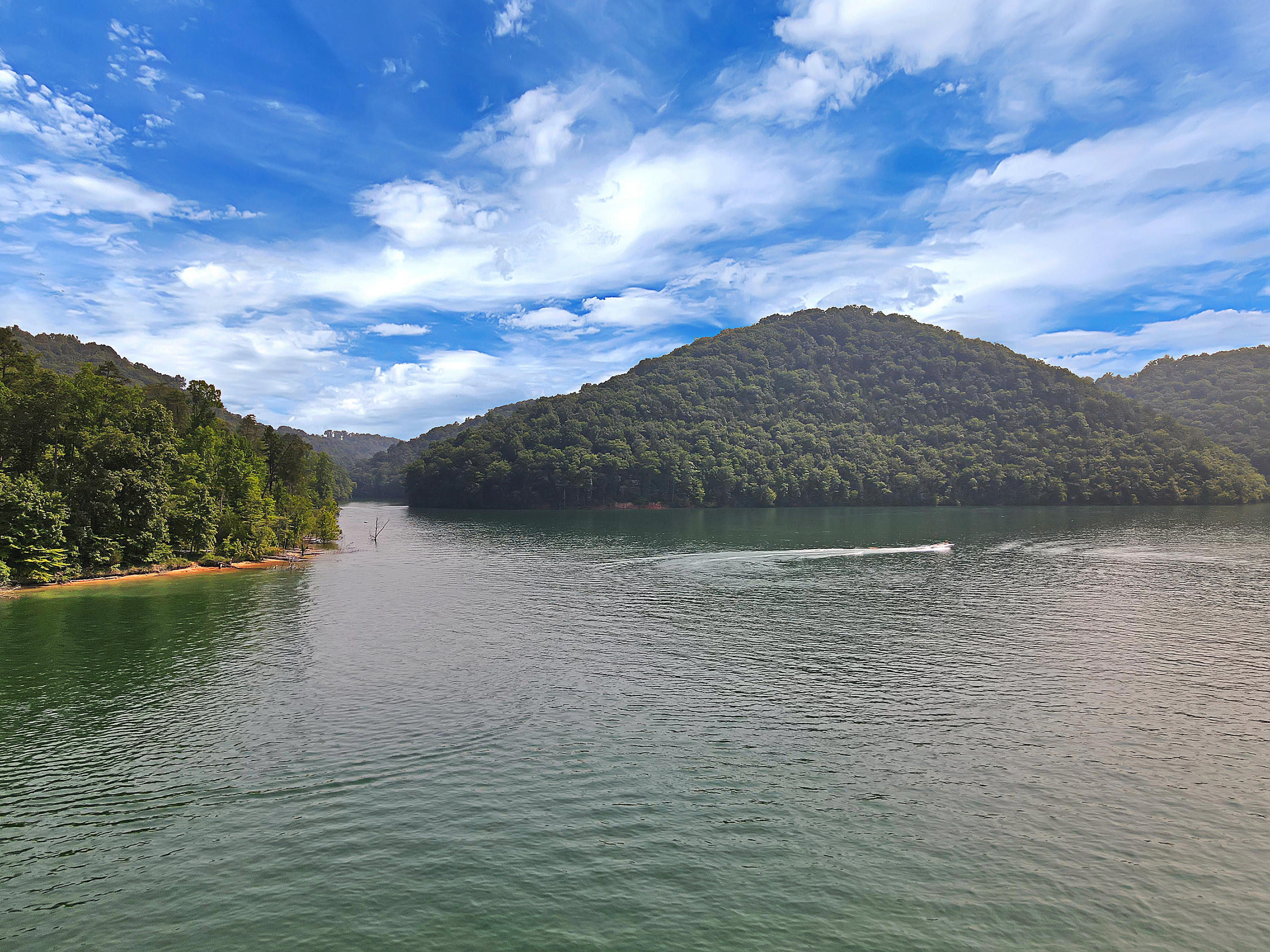 918 Fox Ridge Lane Caryville, TN 37714 - Photo 40 of 40 AgentOptix -2