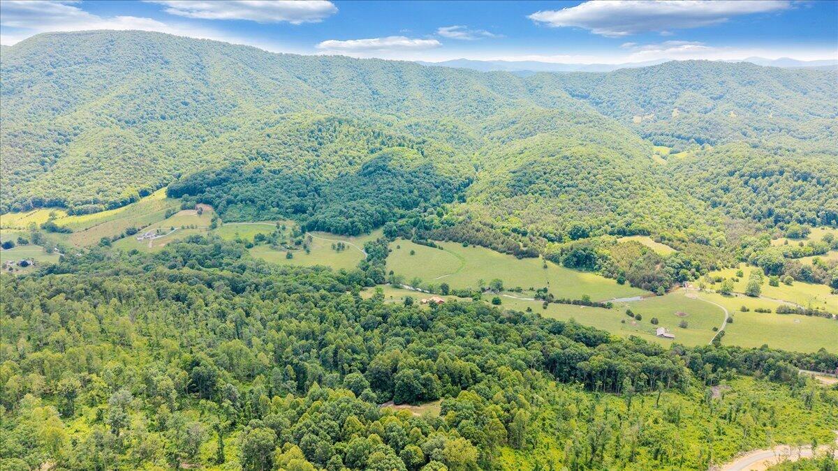 11010 Catawba Road Troutville, VA 24175 - Photo 62 of 68 62-DJI_20260615123647_0014_D