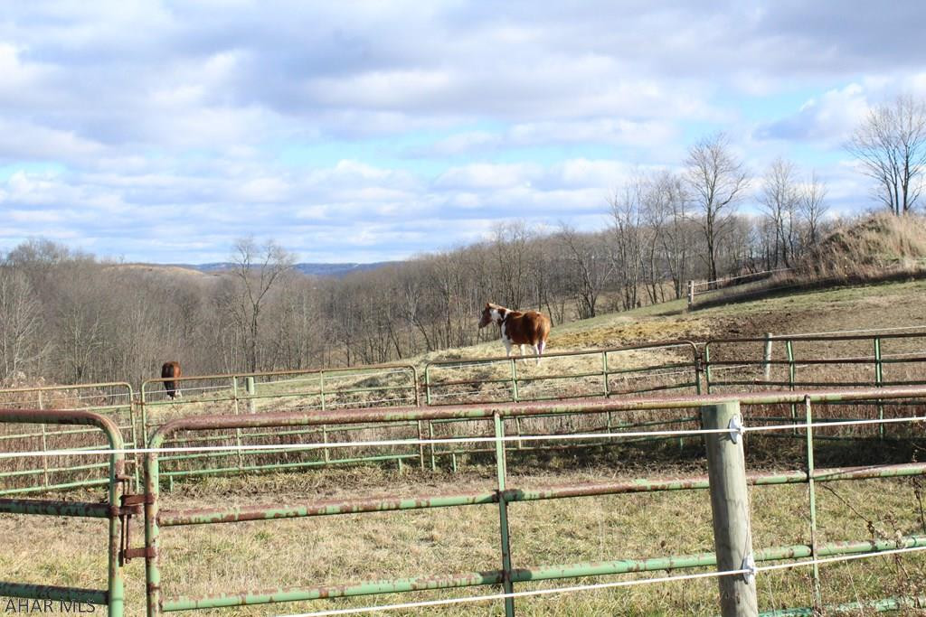 648 Beutman Road Alum Bank, PA 15521 - Photo 20 of 37 Gallery Image 20