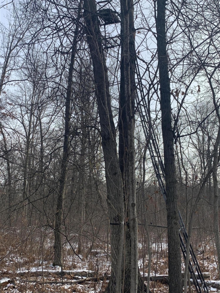 0 West Olson Road Sanford, MI 48657 - Photo 17 of 19 Gallery Image 17