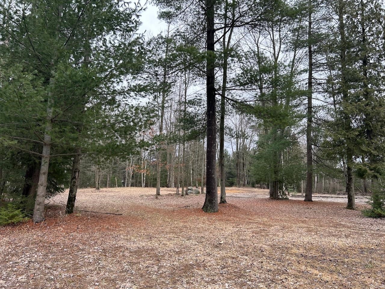 19.2 Acres W M61 Road Gladwin, MI 48624 - Photo 4 of 17