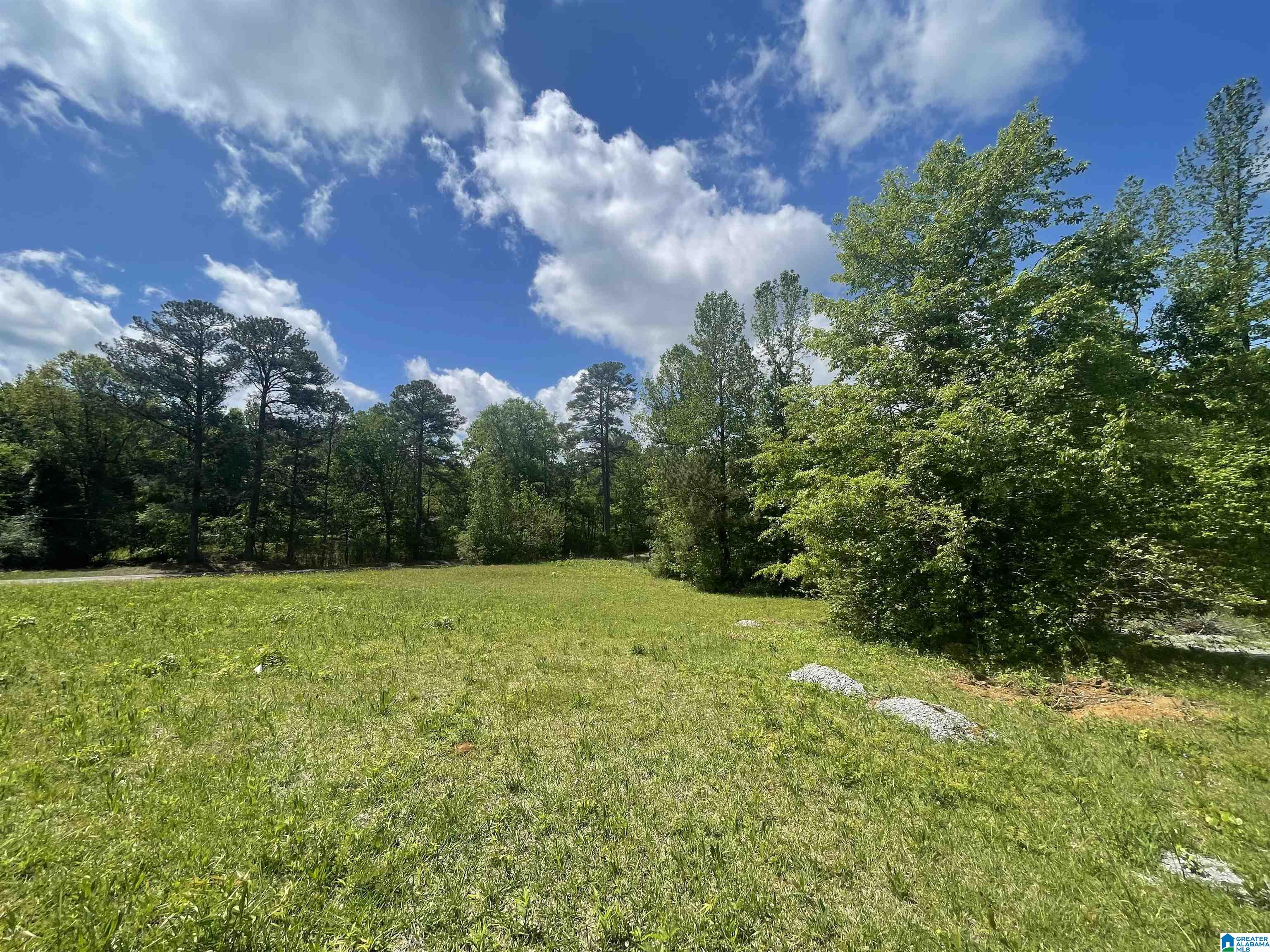 2021 Brookside Road, Unit 3 Mount Olive, AL 35117 - Photo 7 of 16