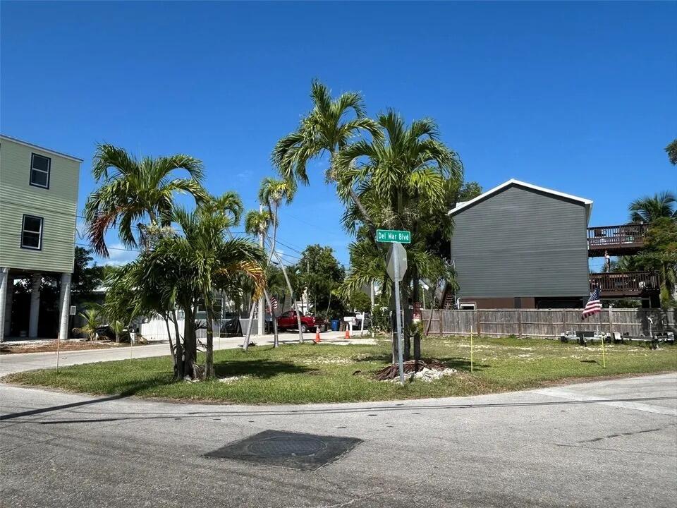 a house with palm tree in front of it