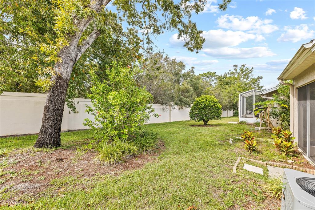 7343 Willowbrook Drive Spring Hill, FL 34606 - Photo 38 of 47 a backyard of a house with lots of green space