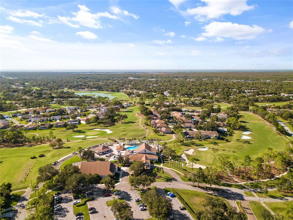 7343 Willowbrook Drive Spring Hill, FL 34606 - Photo 42 of 47 an aerial view of residential building and lake