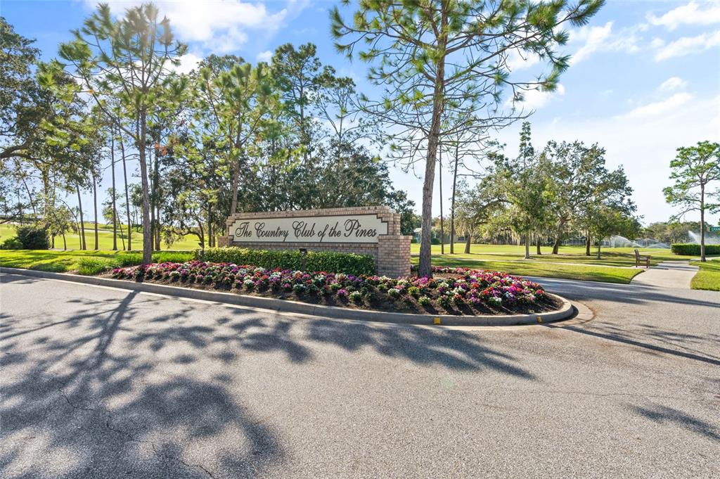 7343 Willowbrook Drive Spring Hill, FL 34606 - Photo 43 of 47 a view of a street with a bench and trees around