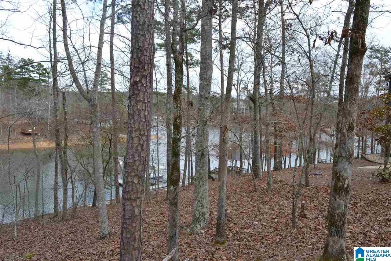 Turkey Lane, Unit 53 Wedowee, AL 36278 - Photo 7 of 10