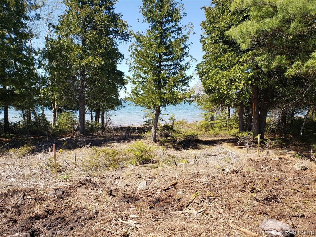 33882 South Dix Point Road Drummond Island, MI 49726 - Photo 11 of 19