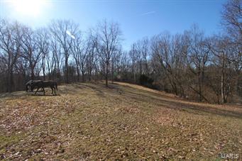 18342 Rathbun Hills Road Wildwood, MO 63069 - Photo 4 of 38 Gallery Image 4