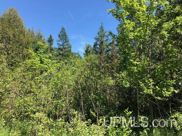 3 Rd Ralph Mi 49877 Road Felch, MI 49831 - Photo 6 of 8