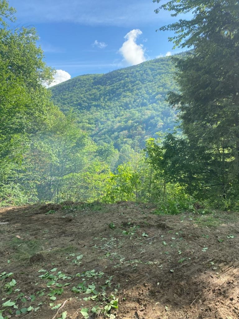 Lot 2 Skye Ridge Drive Killington, VT 05751 - Photo 1 of 17 Gallery Image 1
